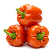 Image result for Capsicum