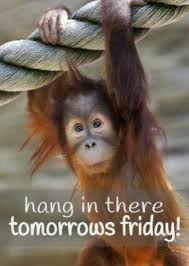 The hilarious moment always memorable in life. Funny Work Quotes For Thursday Daily Quotes
