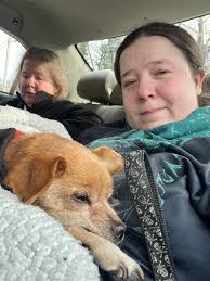 Coping with loss of a beloved pet