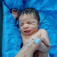 Roya Sadeghi (@dr.roya.sadeghi) · Ahvaz