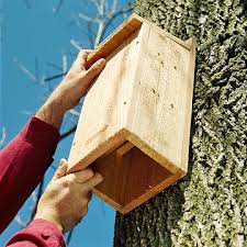 Second, our units are weatherproof so you only need one unit for bat control inside or outside your house. Attract Bats For Organic Insect Control Better Homes Gardens