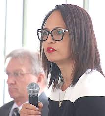 The Odessa File: Government of Schuyler County