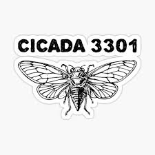 Hier für euch ein video über das größte mysterium des internets. Sticker Cicada 3301 Redbubble