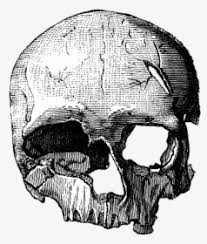 Sekali komando turun, pasukan ini pasti akan bergerak. Pinhead Drawing Skull Tete De Mort Png Transparent Png Kindpng