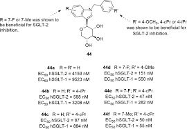 Sodium-Glucose Cotransporter Inhibitors as Antidiabetic Drugs: Current  Development and Future Perspectives