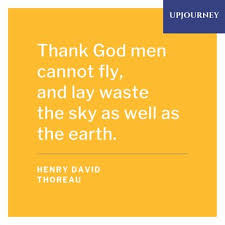 240 Best Henry David Thoreau Quotes About Nature Life Love