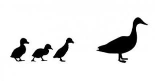 Black And White Goose Silhouette Stencil 6601 Mother Goose With Goslings Duck Silhouette Duck And Ducklings Duck Tattoos