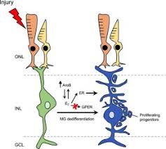 Image result for Blanc 1989 ARO