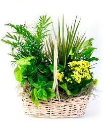 * * you can get additional information at the image link. Get Well Gifts For Men Fromyouflowers