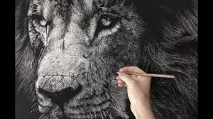 Download in under 30 seconds. Hyperrealistic Lion Drawing Time Lapse Youtube