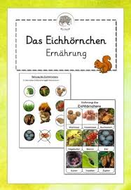 Das Eichhornchen Ernahrung Bild Wort Karten Abb Info Text Unterrichtsmaterial Im Fach Sachunterricht In 2020 Wortkarte Unterrichtsmaterial Bildkarten