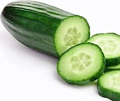 Image result for Cucumis sativus