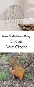 * 2 scotch bonnet peppers. 46 Chicken Wire Planter Ideas Chicken Wire Chicken Wire Crafts Garden Art