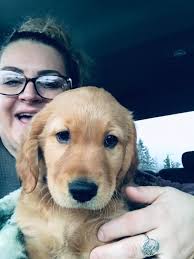 You will be welcome 🐝🐝🐝🐝🐝