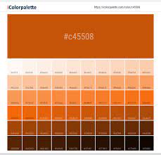 The amazing thing about burnt orange is that it's super versatile: Hex Color Code C45508 Rust Orange Color Information Hsl Rgb Pantone