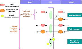 Drug position paper examples : Improved Classification Of Blood Brain Barrier Drugs Using Deep Learning Scientific Reports