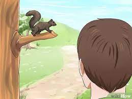 How To Raise A Baby Squirrel With Pictures Wikihow