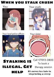 PSA brought to you by the lolice : rAnimemes