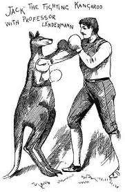 Http Esnpc Blogspot Com 2014 10 Australias Boxing Kangaroo From Html Kangaroo History Humanoid Sketch
