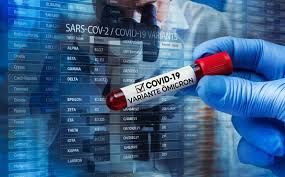 Ômicron: o que é, sintomas, eficácia das vacinas - Biologia Net