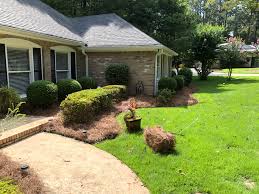We deliver to homeowners and businesses in newnan, fayetteville, peachtree city and the surrounding areas. Long Needle Pine Need Installation Peachtree City Ga