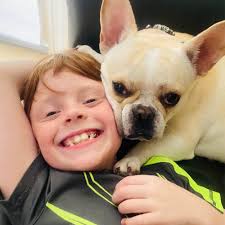 South Beach Animal Hospital Miami Beach, FL