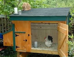 The glass window was repurposed from a discarded pile. 30 Awesome Custom Chicken Coop Ideas And Diy Plans Photos 2021