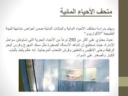 Sky 0 5 اسس تصميم متحف احياء مائيه Facebook