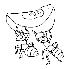 Jpg, transparent png, vector eps, ai, and svg. Coloring Pages Ant Clipart Colouring Page