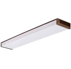 While you can use this kind of lighting for a sloped this lighting consists of a track that mounts to the ceiling with light fixtures hanging from the track. Lithonia Lighting 10648re Bz 2 Light Flushmount Build Com
