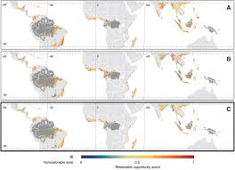 Location and climate location of tropical rainforest climate. Global Restoration Opportunities In Tropical Rainforest Landscapes Science Advances