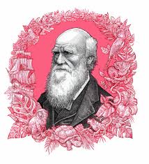 Check Out This Behance Project Darwin Https Www Behance Net Gallery 62049257 Darwin Illustration Evolution Art Darwin