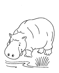 We hope you enjoy our growing collection of hd images to use as a. Free Printable Hippo Coloring Pages For Kids
