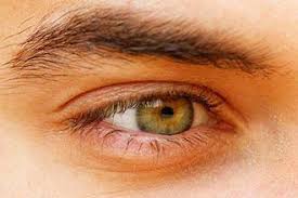 Best Hazel Eye Makeup Hazeleyemakeup Eye Photography Hazel Eyes Blue Hazel Eyes