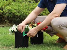 Maybe you would like to learn more about one of these? The Best Grow Bags For Low Maintenance Gardening Bob Vila