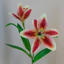 This is a beautiful piece that will make a floral arrangement the center of attention in your home. Artificial Tiger Lilies Dark Pink 46cm Artificial Flowers