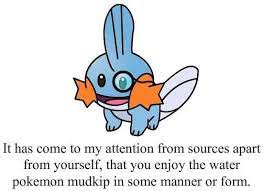 I Herd U Liek Mudkips Know Your Meme