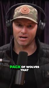 Adam Greentree On Wolves Intelligence, Wolves know when their prey is  exhausted and they let nature play its course , Work smarter not harder,  #animals #wildanimals #nature #canada #joerogan ...