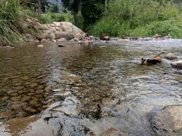 Percutian bersama kawan2 di janda baik 2019. Nuang Homestay Janda Baik