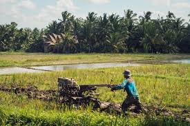 Alhamdulillah, program jelajah agropreneur muda (jam) negeri perlis selesai dirasmikan. Dapatkan Dana Untuk Projek Tani Anda Daripada Geran Agropreneur Muda 2019 Pepitih