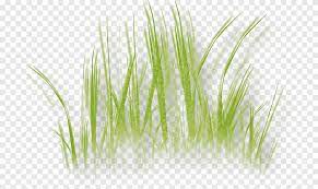 Check spelling or type a new query. Rumput Tanaman Herba Rumput Lukisan Cat Air Tanaman Herba Png Pngegg
