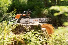 Es gibt fräseinsätze für motorsägen,schwert und kette und ritzel muss raus und wird durch. Carving Kettensagenschnitzen Fur Anfanger Stihl
