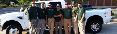 Marc's tree service serves the charlotte metro area as a professional tree care company. Absolute Tree Service Charlotte Nc Tree Removal 704 737 8771