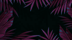 Beautiful Wallpaper Hd 1080p Here are only the best hd laptop wallpapers. beautiful wallpaper hd 1080p