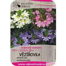 Image result for foto Vějířovka