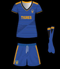 Tigres femenil, a regresar al triunfo. Liga Mx Femenil Pagina Oficial De La Liga Mexicana Del Futbol Profesional Club Tigres De La U A N L Plantel Jugadores Historia Uniformes Estadio Universitario Www Ligafemenil Mx