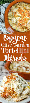 Olive garden's italian dressing is packed with tons of ingredients, including a variety of oils, vinegar, eggs, salt, cheese and garlic. Copycat Olive Garden Oven Baked Tortellini Alfredo The Food Hussy