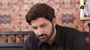 Meray Humnasheen Episode 28