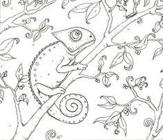 Common chameleon coloring page from chameleon category. 50 Best Chameleons For Creative Coloring Ideas Chameleon Color Chameleon Coloring Pages