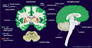 16, užubalių k., vilniaus r. 2